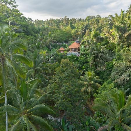 Gunung Kawi Villa Tegallalang  Εξωτερικό φωτογραφία