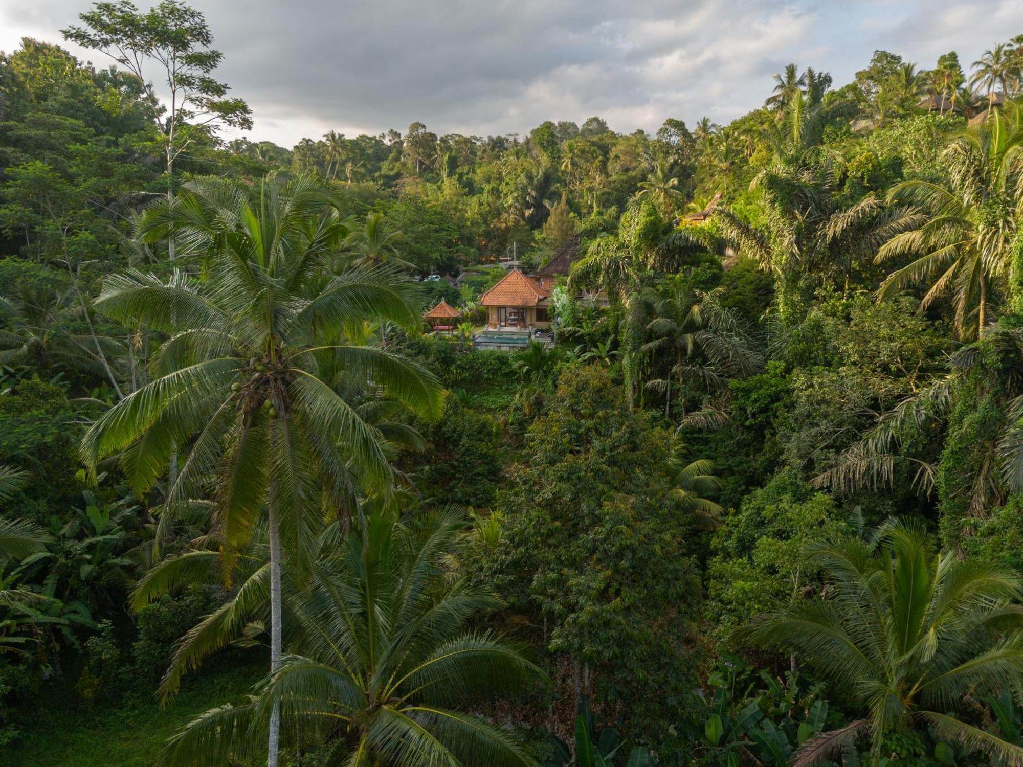 Gunung Kawi Villa Tegallalang  Εξωτερικό φωτογραφία